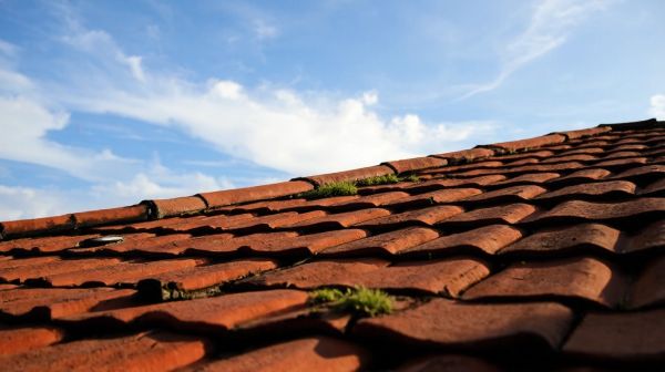 Guide ultime pour revitaliser votre toiture efficacement