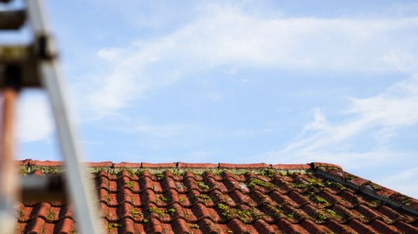 Guide ultime pour revitaliser votre toiture efficacement